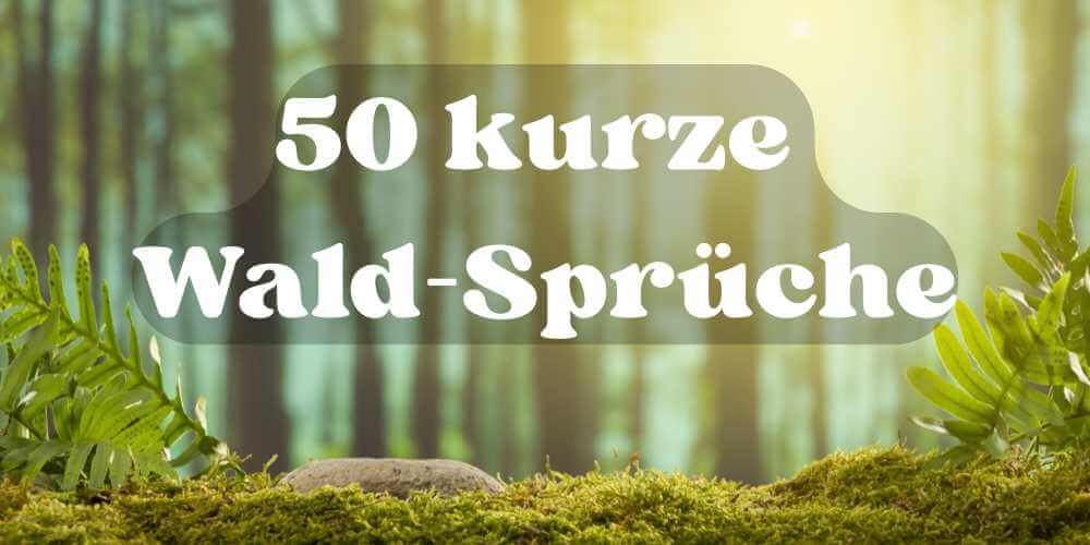 50 Sprüche: Wald, Seele, Natur (kurz & inspirierend)