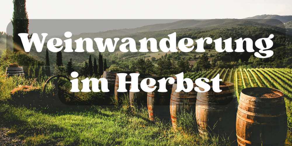 Weinwanderung im Herbst: Routen, Tipps & Mitbringsel