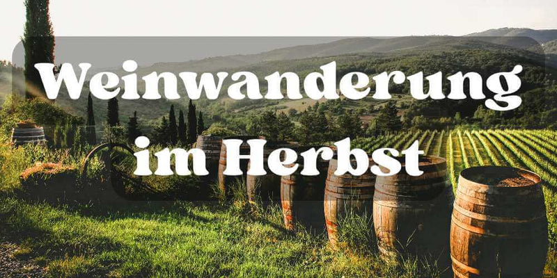 Weinwanderung im Herbst: Routen, Tipps & Mitbringsel