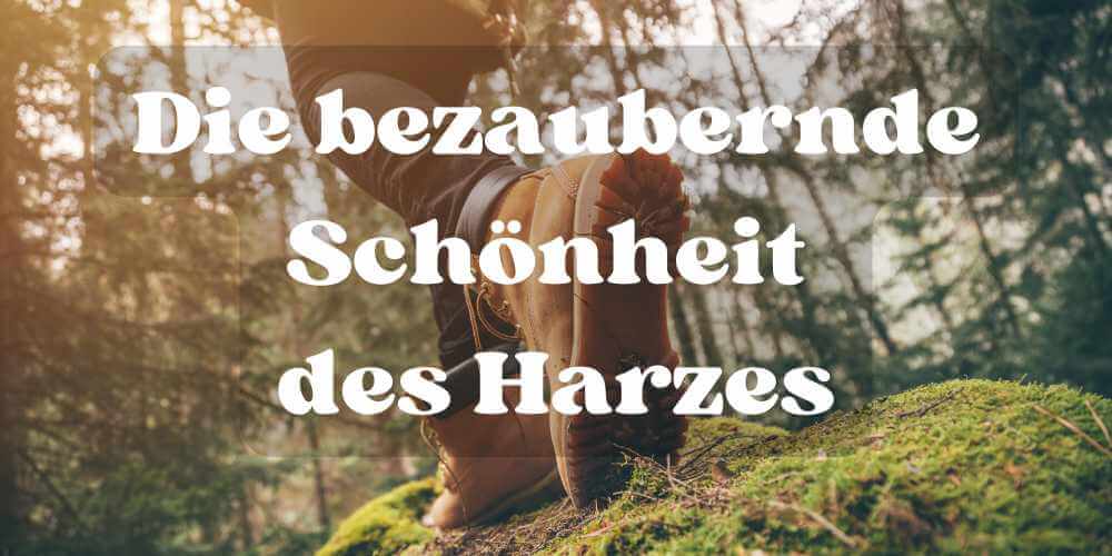 Die bezaubernde Schönheit des Harzes