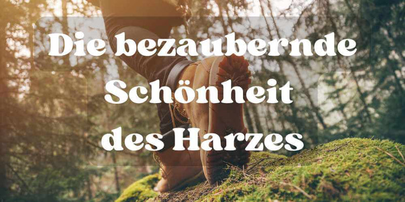 Die bezaubernde Schönheit des Harzes