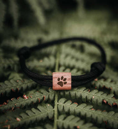 Armband mit Pfote – Modelbild (FSC-Walnussholz & Paracord) von Rad&Rucksack